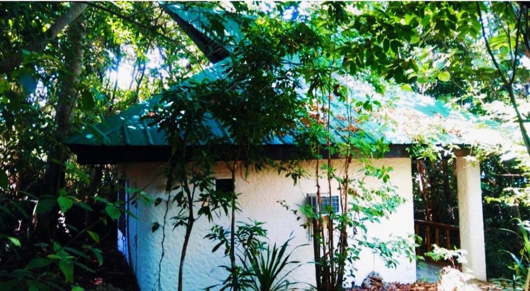 Kim'S Garden Βίλα Anda  Εξωτερικό φωτογραφία