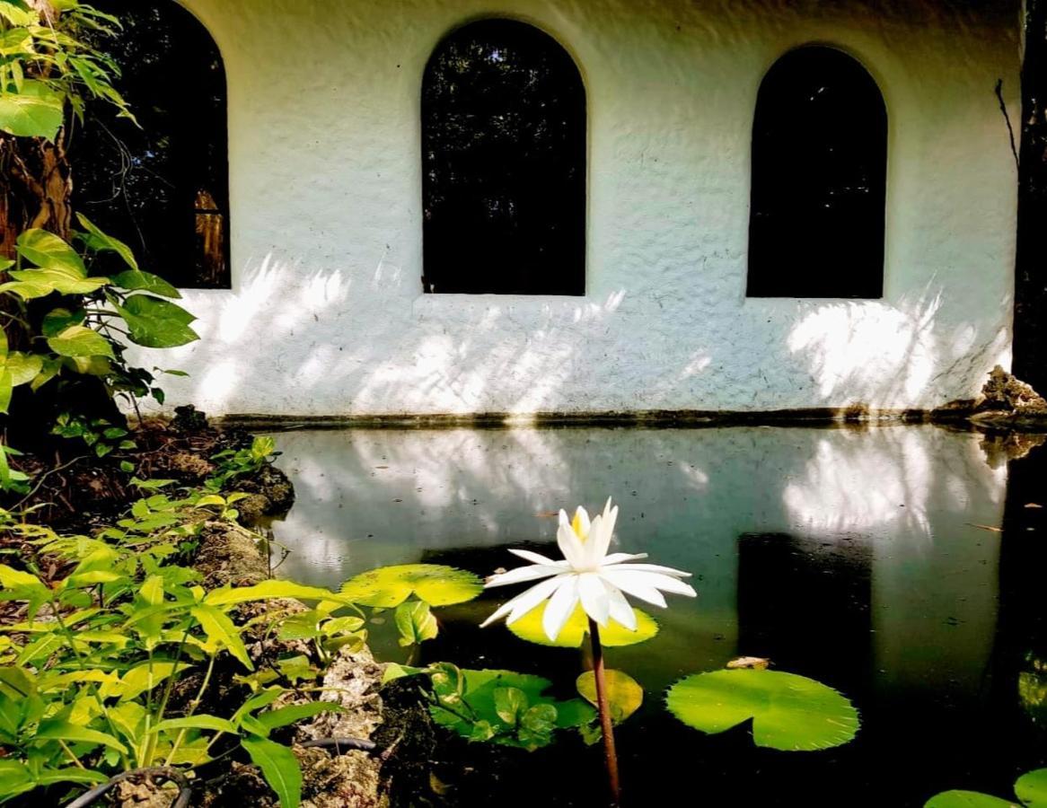 Kim'S Garden Βίλα Anda  Εξωτερικό φωτογραφία