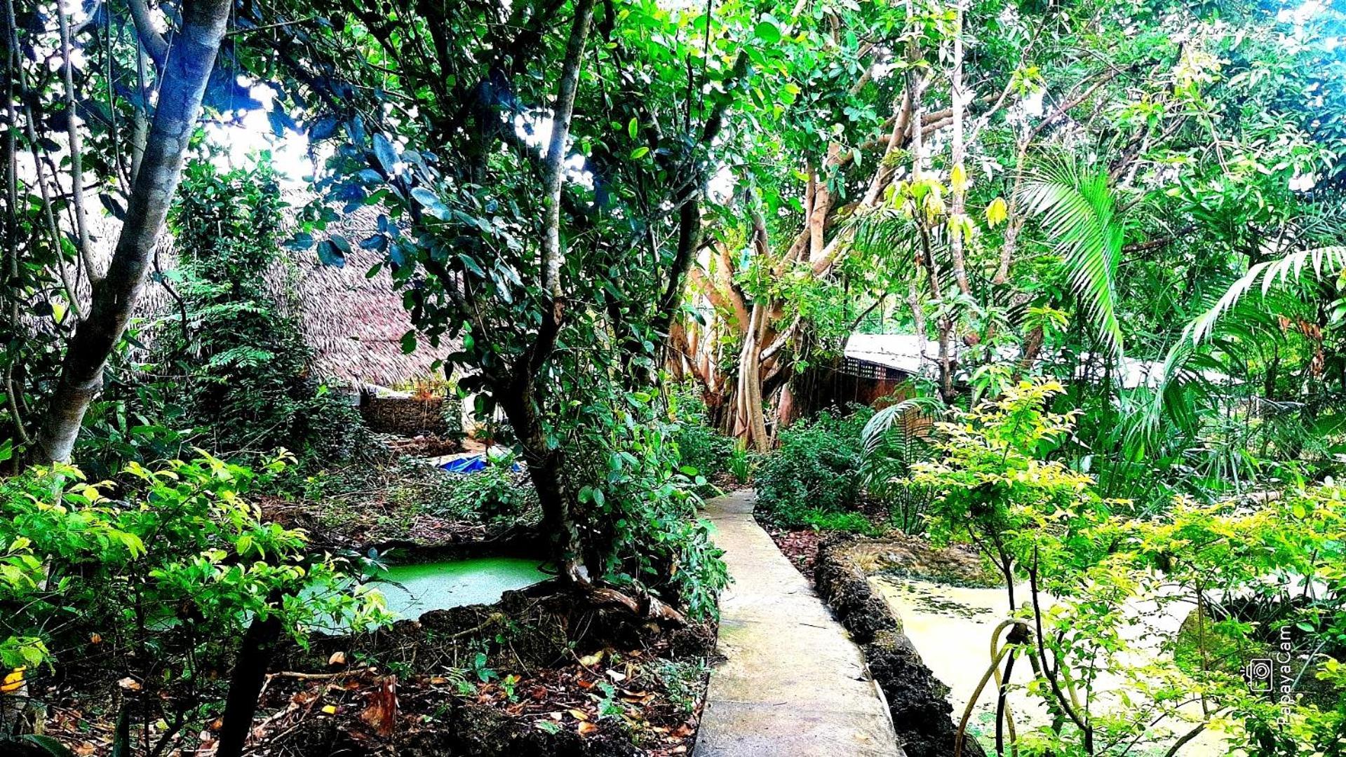 Kim'S Garden Βίλα Anda  Εξωτερικό φωτογραφία