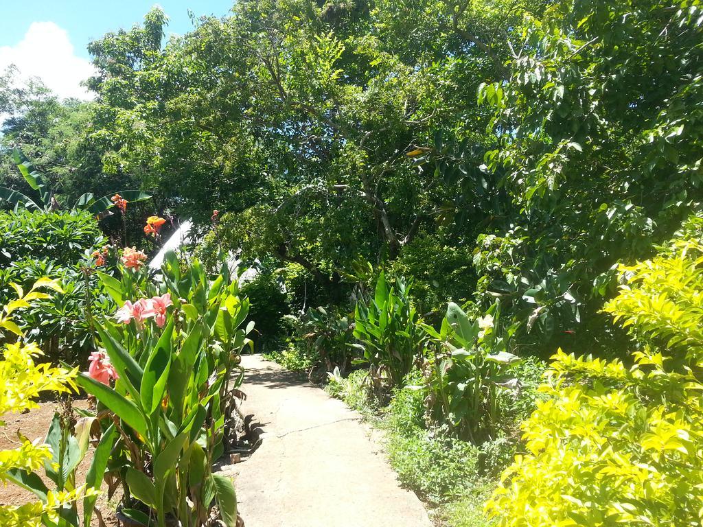 Kim'S Garden Βίλα Anda  Εξωτερικό φωτογραφία